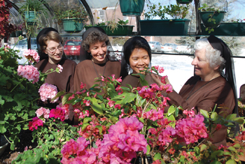 Enjoying the blooms in the community greenhouse are members of the Franciscan Sisters of the Eucharist (from left): Sister Grace Marie Horan, F.S.E., Sister Frances Zajac, F.S.E., Sister Rosario Ongayo, F.S.E., and Sister Patricia Glass, F.S.E.